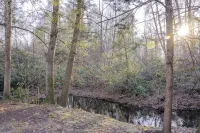 Cozy Pines Log Cabin 2BR+Loft Creekside w/ Hot Tub - Alphydda