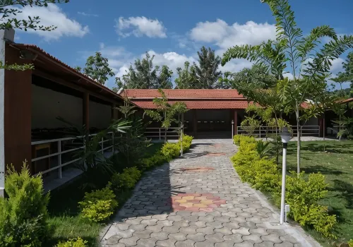 Rock Retreat - Pool