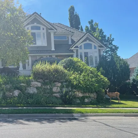 Sunset Views! Indoor Sport Court, Pool table, Golf Course, 12 min to downtown