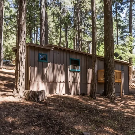 The Little Cabin in the Pines!