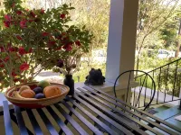 The Roost - Sun Room - 4 stjerner