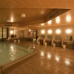 Miyazaki Kanko Hotel - Hot Springs