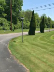 Allenwood Motel - Motels