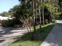 Oasis Grande Anse -  Holiday Villas