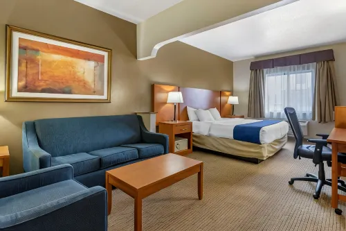 Comfort Suites Auburn Hills-Detroit - Spa