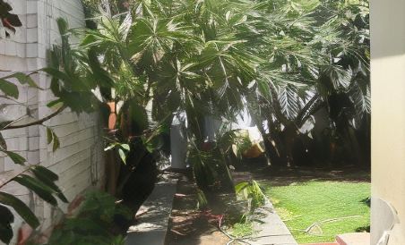 Nydia´s Trujillo City Hostel - Housity