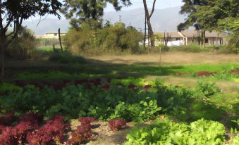 Corbett Life Resort - Housity