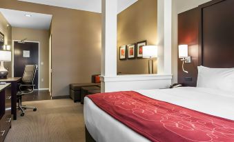 Comfort Suites-Youngstown North - Housity