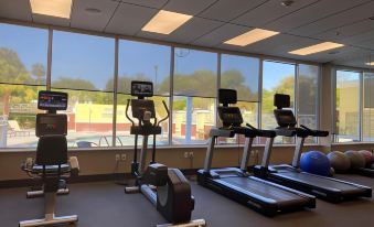 a well - equipped gym with various exercise equipment , including treadmills , stationary bikes , and a weight machine at Courtyard DeLand Historic Downtown