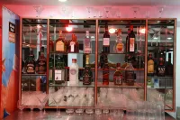 Saiesh International Hotel Hotels in Moira