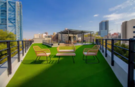 Capitalia Condesa Escandon Hotels in Mexico City