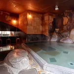 Breezbay Shuzenji Hotel