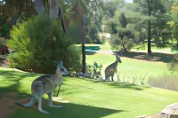 Commercial Golf Resort