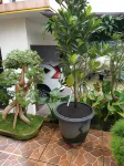 Villa Kusuma Tawangmangu Lapangan Bukit Mongkrang 주변 호텔