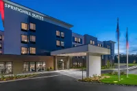 SpringHill Suites Wrentham Plainville Hotels in Plainville