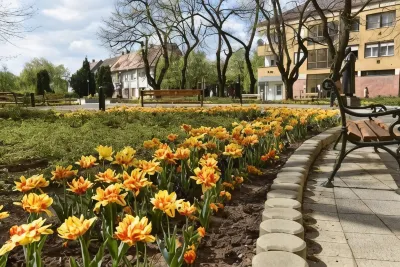 Guest House Romantika Panzio Hotels in 