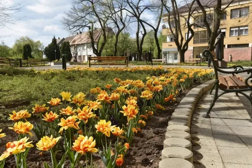 Guest House Romantika Panzio