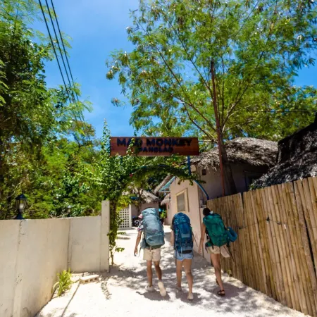 Mad Monkey Panglao