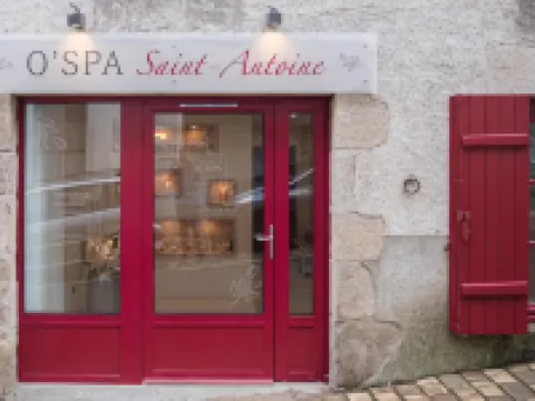 Best Western Plus Villa Saint Antoine Hotel  Spa Hôtels à : Clisson