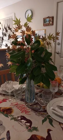 Lampe House - A cosy, pet friendly cottage at Talbingo, Snowy Mountains NSW Отели в г. Тьюмут