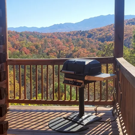 Majestic Cabin with mountain views, close to everything!
