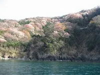 Minshuku Kyusuke Hotel a Wakasa