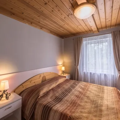 Alpijskie Doma Hotel - Homestays