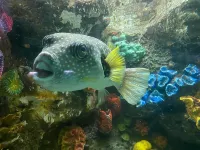 Appartment Rodolfo Historical Centre Hotels in 