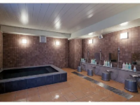 Hotel Maruchu Centro Hotels near Adachi Museum