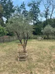 Atypical family home in the Ardèche. Sleeps 6 Calm and relaxation guaranteed. - Homestays