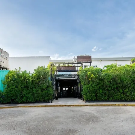 Mayan Monkey Cancun - Social Hotel Отели рядом с достопримечательностью «Конференц-центр Канкуна»