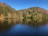 Lakefront Treehouse w/ Dock · 2 King Suites · Sleeps 12
