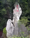 Darius International Hotel (Panlong Cave) - Mountain view