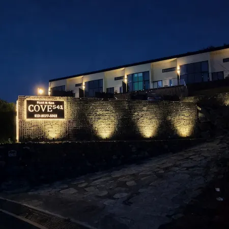 COVE541