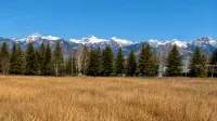 Talisman Amazing Views!! Walk to Uptown: Sleeps 4