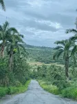 GAIA Barbados! 2 BD Home 5min walk to the beach - Homestays
