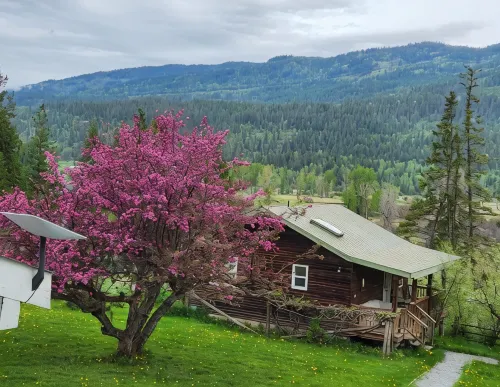 Hidden Gem Oasis A peaceful, beautiful spot on the Shuswap River, pet-friendly, - 2-Star