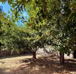 Charming NEW studio with AC and private yard in tranquil Sebastopol - Condos
