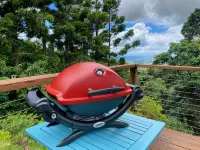 Romantic Mountain Top Cabin - A Dreamy Escape Ξενοδοχεία στην πόλη Beechmont