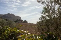 A 10 mn walk from the beach with view on the cap canaille house of 100 m2
