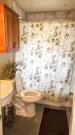 The Bird- Lovely 2 Bed Home in the Garden, Great Location - Homestays