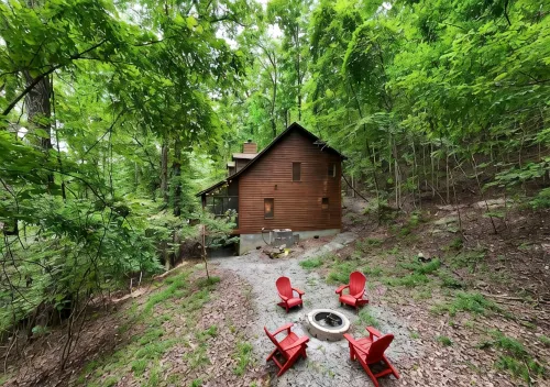 Cozy 2-Bedroom Cabin with WiFi, Firepit, and More in Blairsville! - Alphydda
