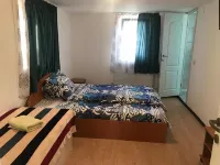 Pensiunea Alexa - Wifi