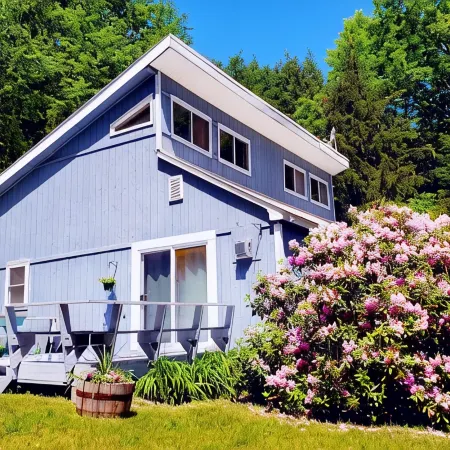 Cozy 4bd - Ski Okemo, Killington, Magic & Bromley