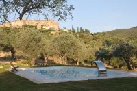 Lovingly Renovated Country House in the Olive Grove with Large Panoramic Pool, Air Conditioning - piscina