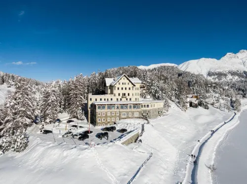Hotel Waldhaus am See - Pet friendly