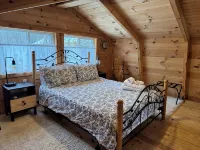 Cozy cabin on 30 acres just minutes from The Wilds with AC, WiFi - Alphydda