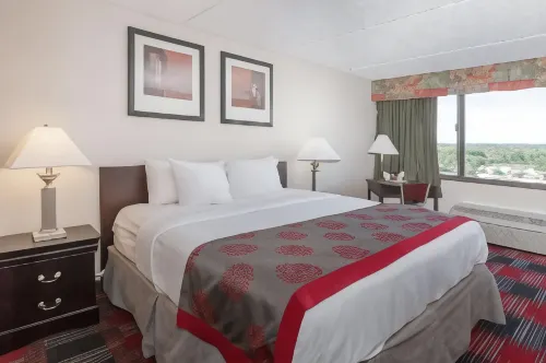Albany Plaza Hotel - 3-Star