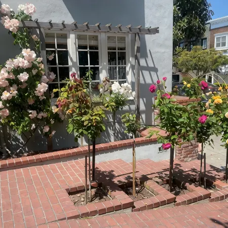 My Rosegarden Guest Rooms Отели рядом с достопримечательностью «Пляж Бейкер-Бич»