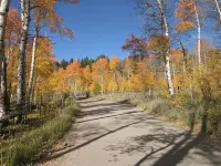 Cozy Guest Cabin by Henry's Lake & Near Yellowstone